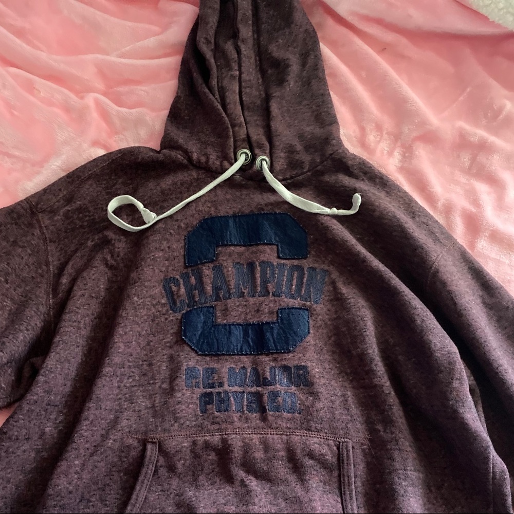 burgundy champion hoodie with writing